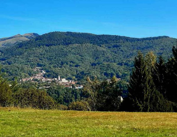 CASTO-1